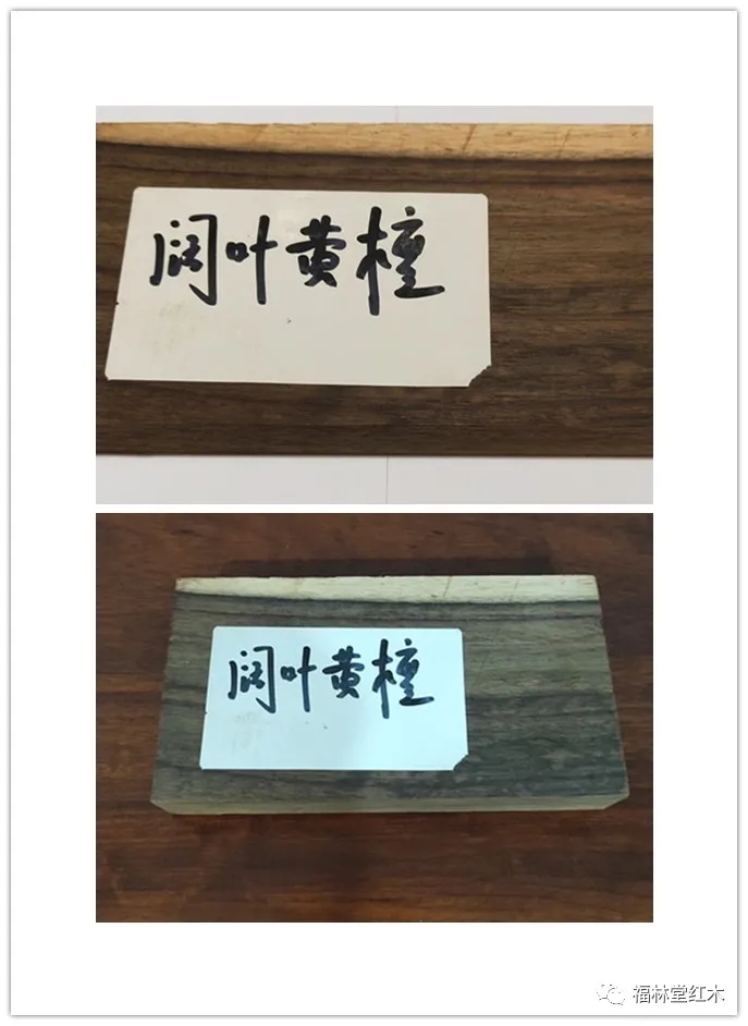 1616134687346539.jpg 640.webp (4).jpg